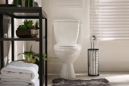 Toilet Trouble? When to Repair vs. Replace Your Toilet Thumbnail